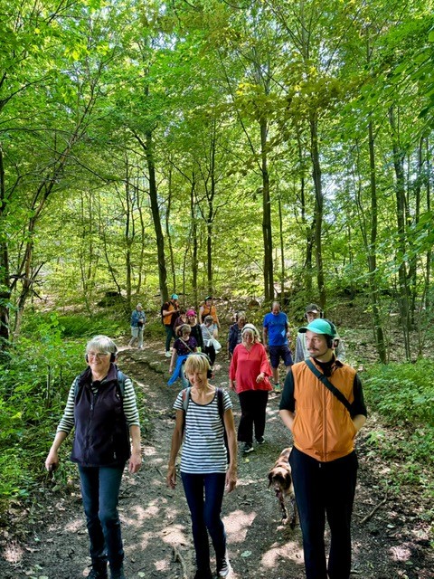 Eine Gruppe von Menschen, die auf einem Waldweg spazieren geht