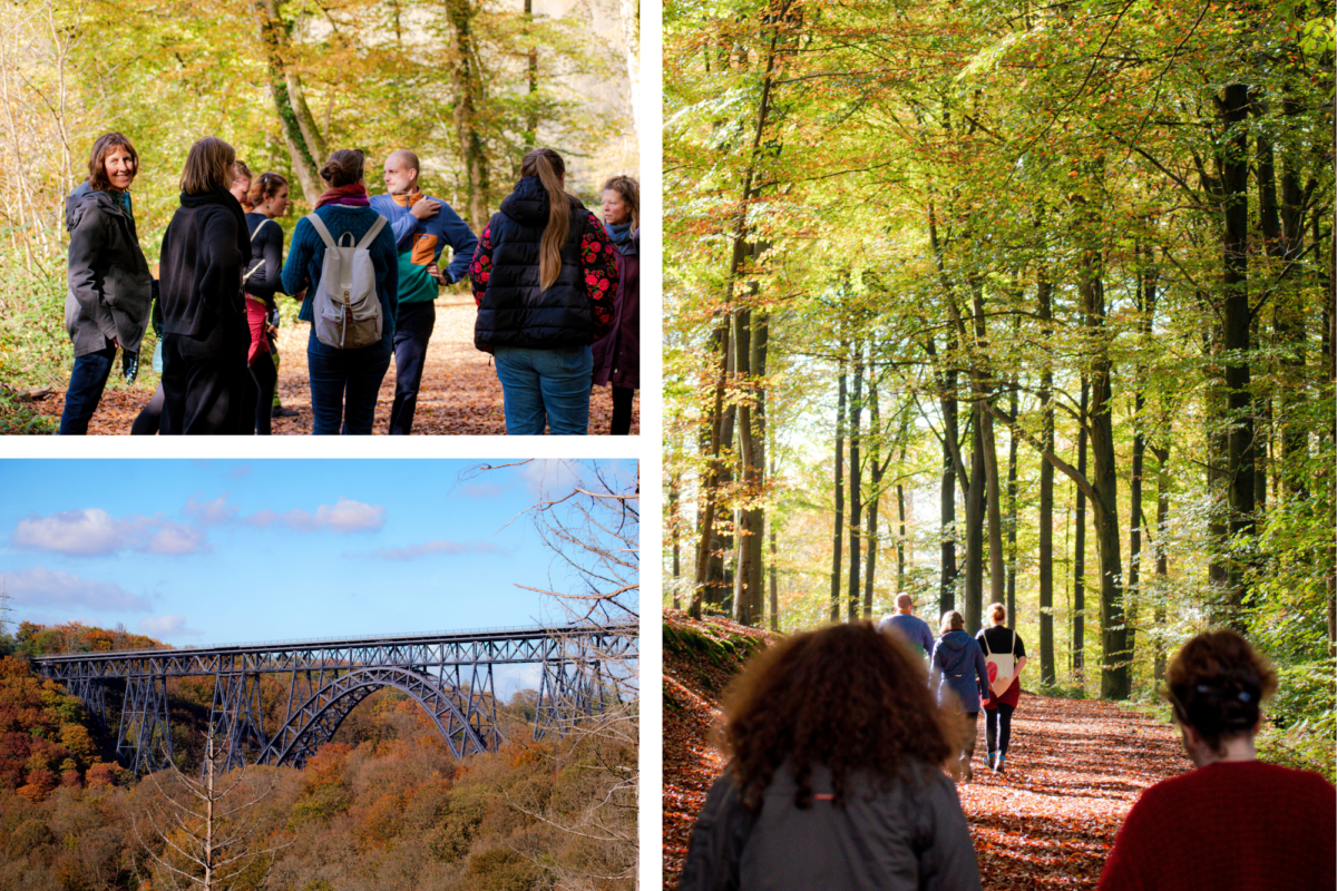 Collage aus Fotos, die Teilnehmende der Kulturgeragogik-Weiterbildung bei einem Waldspaziergang zeigt. Auf einem Bild ist die Müngstener Brücke, eine große aus Stahl konstruierte Eisenbahnbrücke zu sehen.